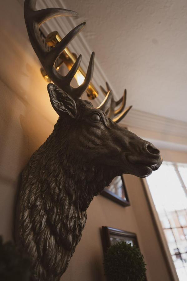 The Stag Hotel And Mailmans Arms Lyndhurst Zewnętrze zdjęcie