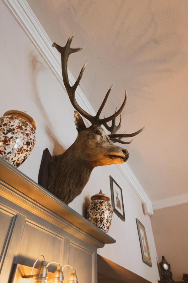 The Stag Hotel And Mailmans Arms Lyndhurst Zewnętrze zdjęcie